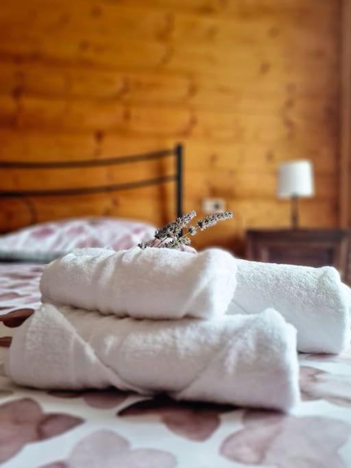 Ca Dell'Agrifoglio Apartment Кродо Екстериор снимка
